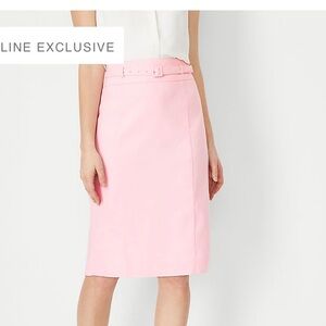 The Petite Belted Seamed Pencil Skirt in Linen Blend